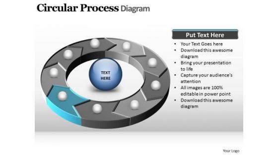 PowerPoint Slidelayout Leadership Circular Process Ppt Template