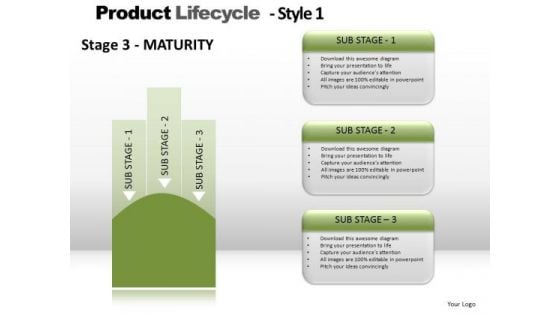 PowerPoint Template Strategy Product Lifecycle Ppt Themes