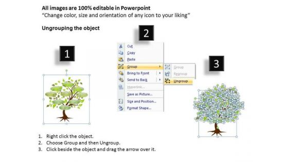 PowerPoint Templates With Editable Family Treees