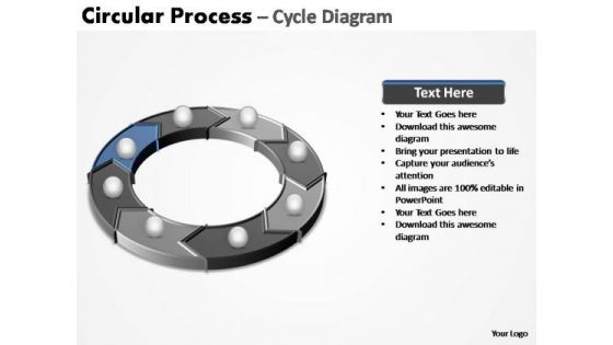 PowerPoint Themes Business Circular Process Ppt Designs