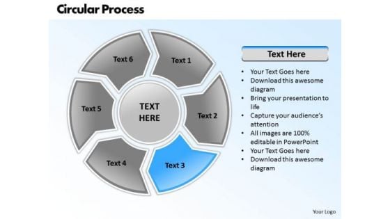 Ppt Circular Nursing Process PowerPoint Presentation 6 Aspects Templates