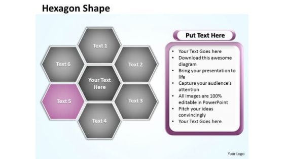 Ppt Hexagon Shapes Format Editable Birthday Presentation PowerPoint Business Templates