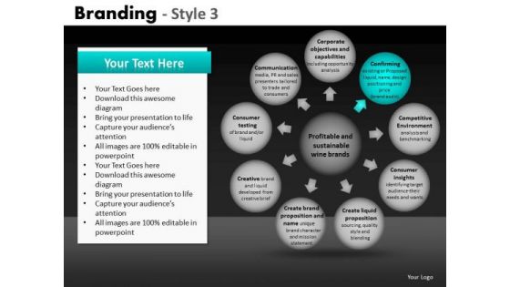 Ppt Slides Spherical Text Boxes Process Charts PowerPoint Templates