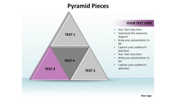 Ppt Triangle Presentation Showing Pink And Its Components PowerPoint Templates