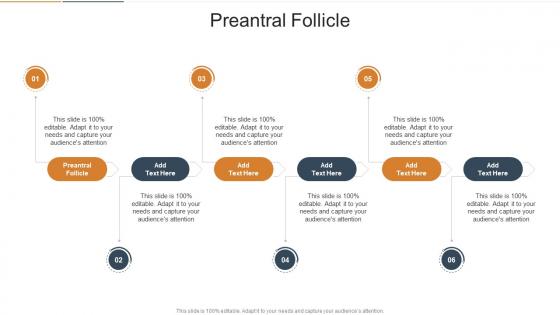 Preantral Follicle In Powerpoint And Google Slides Cpb