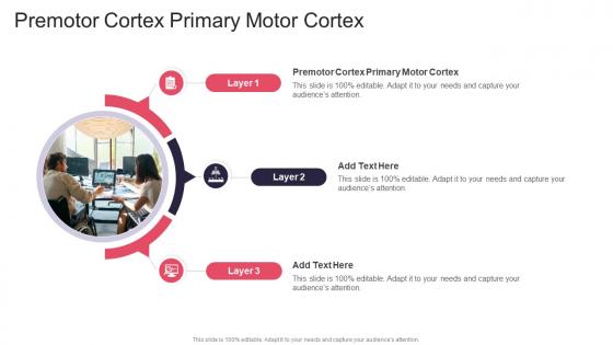 Premotor Cortex Primary Motor Cortex In Powerpoint And Google Slides Cpb