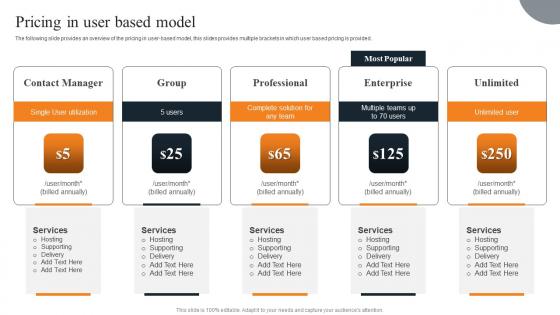 Pricing In User Based Model Layered Pricing Strategy For Managed Services Diagrams Pdf