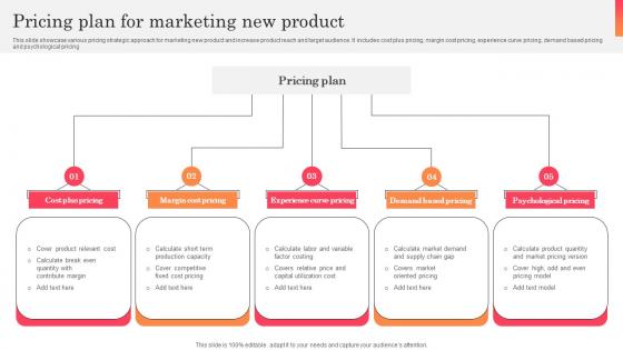 Pricing Plan For Marketing New Product Infographics Pdf