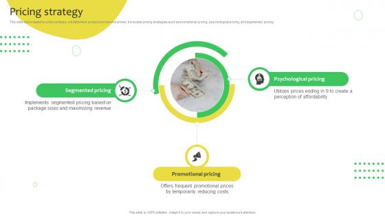 Pricing Strategy Soft Drinks Company Business Model BMC SS V