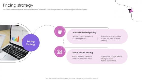 Pricing Strategy Theme Park And Attractions Providing Company Business Model BMC SS V