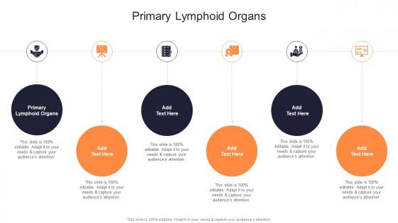 Primary Lymphoid Organs In Powerpoint And Google Slides Cpb