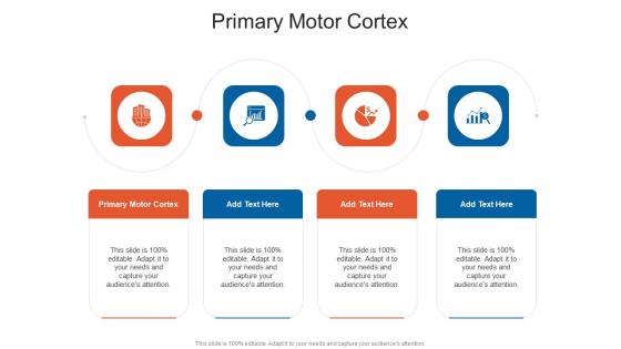 Primary Motor Cortex In Powerpoint And Google Slides Cpb