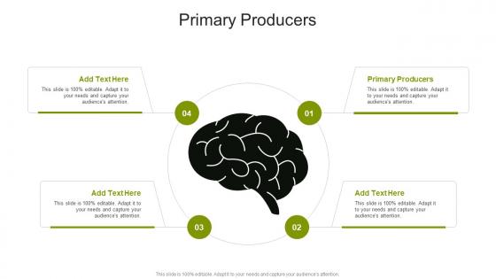 Primary Producers In Powerpoint And Google Slides Cpb