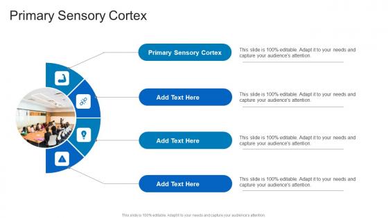 Primary Sensory Cortex In Powerpoint And Google Slides Cpb