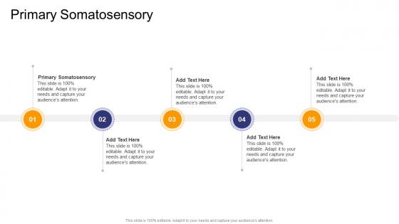 Primary Somatosensory In Powerpoint And Google Slides Cpb