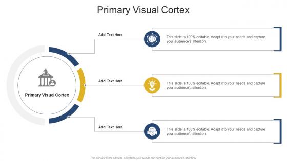 Primary Visual Cortex In Powerpoint And Google Slides Cpb