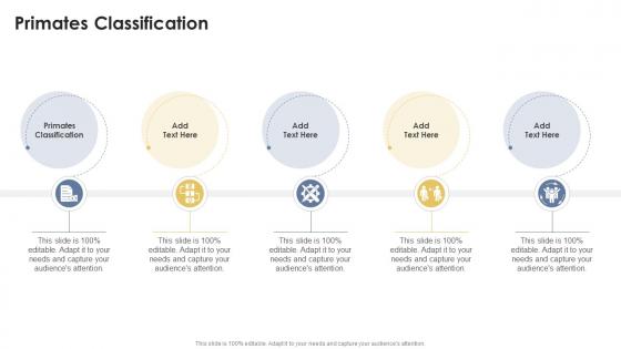 Primates Classification In Powerpoint And Google Slides Cpb Primates Classification In Powerpoint And Google Slides Cpb