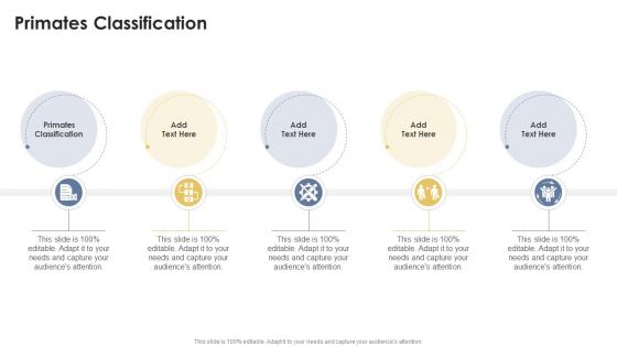 Primates Classification In Powerpoint And Google Slides Cpb