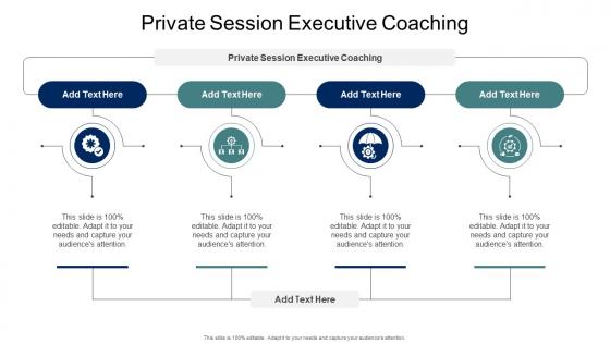 Private Session Executive Coaching In Powerpoint And Google Slides Cpb