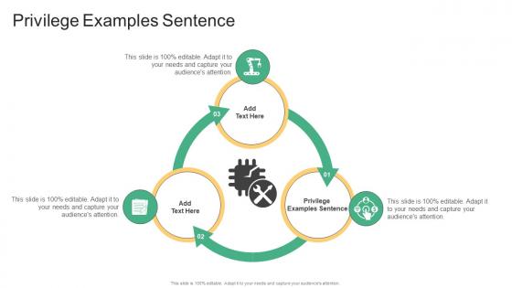 Privilege Examples Sentence In Powerpoint And Google Slides Cpb