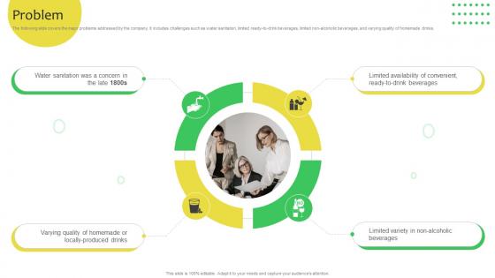Problem Soft Drinks Company Business Model BMC SS V
