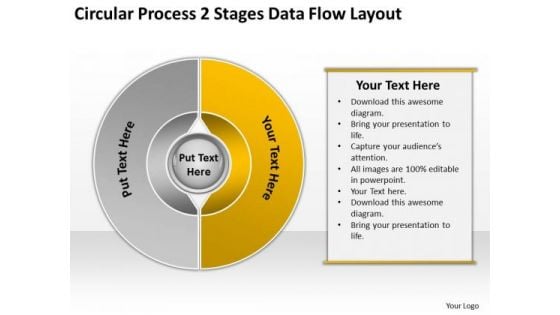 Process 2 Stages Data Flow Layout Professional Business Plan PowerPoint Slides