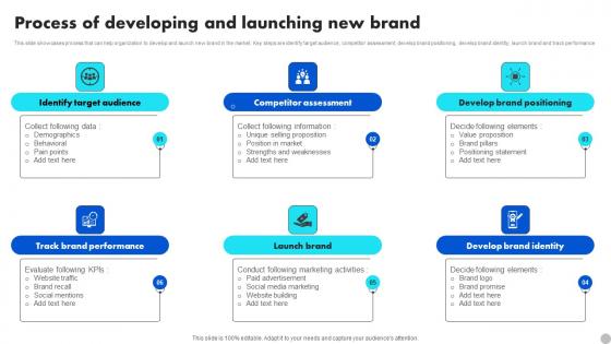 Process Of Developing And Launching New Brand Brand Diversification Approach Structure Pdf