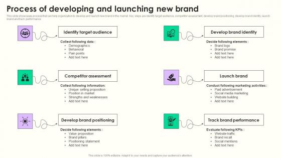 Process Of Developing Launching Maximizing Sales Via Online Brand Marketing Strategies Guidelines Pdf