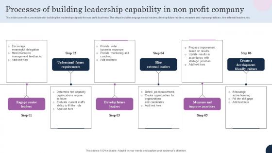 Processes Of Building Leadership Capability In Non Profit Company Sample Pdf