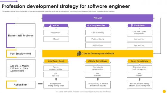 Profession Development Strategy For Software Engineer Formats Pdf