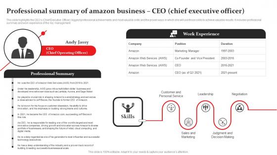 Professional Summary Of Amazon Business Structure Pdf Professional Summary Of Amazon Business Structure Pdf