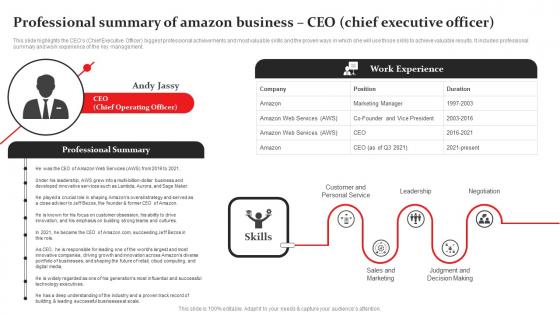 Professional Summary Of Amazon Business Structure Pdf