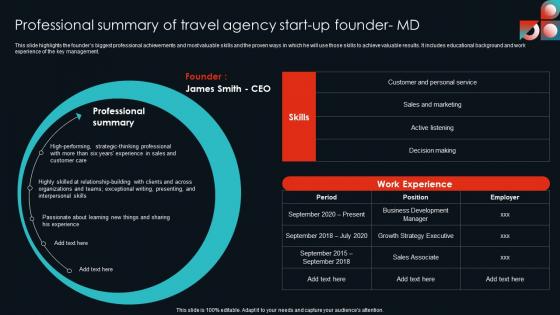 Professional Summary Of Cultural Travel Agency Business Plan Demonstration Pdf