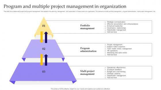 Program And Multiple Project Management In Organization Themes Pdf