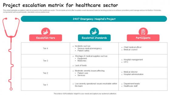 Project Escalation Matrix For Healthcare Sector Summary pdf