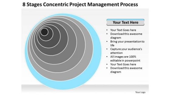 Project Management Process Ppt Business Plan Examples For New PowerPoint Templates