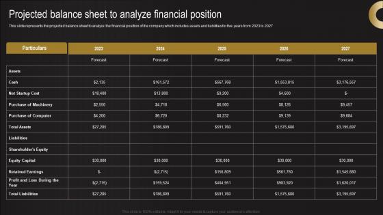 Projected Balance Sheet To Analyze Financial Position Jewelry Business Plan Formats Pdf