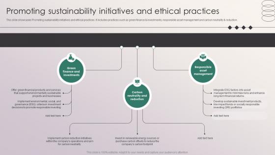 Promoting Sustainability Initiatives And Ethical Practices Penetrating Markets With Financial Strategy SS V Promoting Sustainability Initiatives And Ethical Practices Penetrating Markets With Financial Strategy SS V