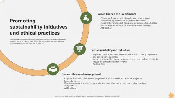 Promoting Sustainability Initiatives And Ethical Strategy For Launching A Financial Strategy SS V Promoting Sustainability Initiatives And Ethical Strategy For Launching A Financial Strategy SS V