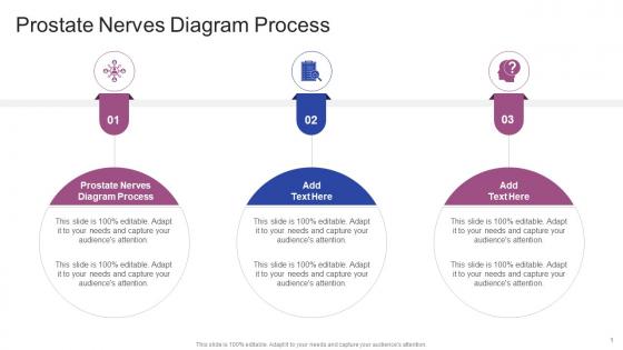Prostate Nerves Diagram Process In Powerpoint And Google Slides Cpb Prostate Nerves Diagram Process In Powerpoint And Google Slides Cpb