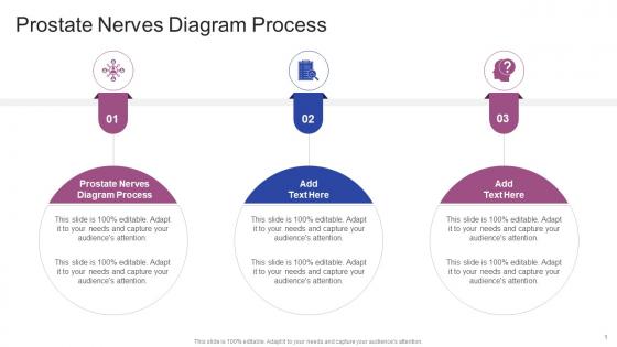 Prostate Nerves Diagram Process In Powerpoint And Google Slides Cpb