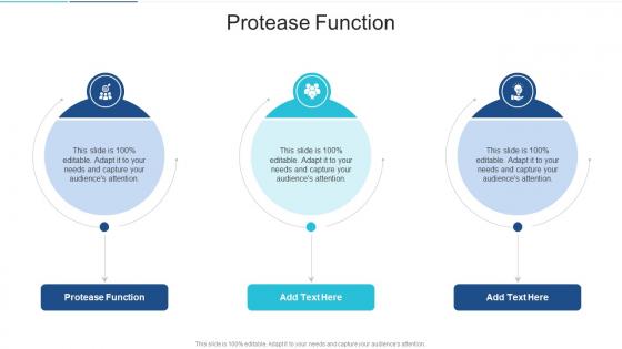 Protease Function In Powerpoint And Google Slides Cpb