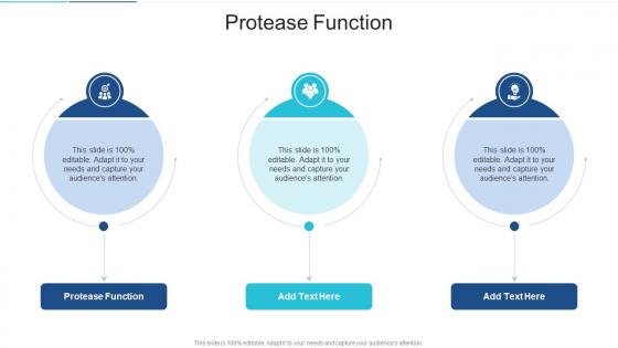 Protease Function In Powerpoint And Google Slides Cpb Protease Function In Powerpoint And Google Slides Cpb