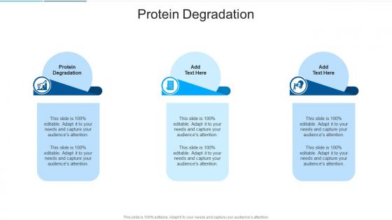 Protein Degradation In Powerpoint And Google Slides Cpb