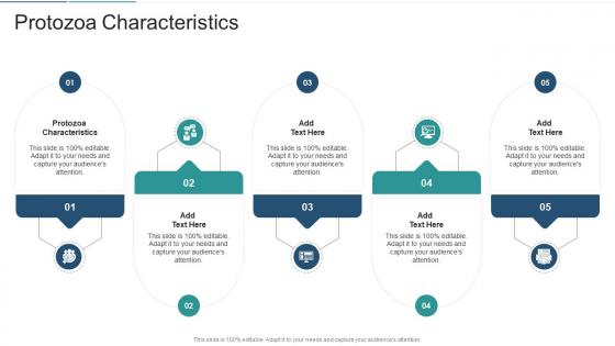 Protozoa Characteristics In Powerpoint And Google Slides Cpb Protozoa Characteristics In Powerpoint And Google Slides Cpb