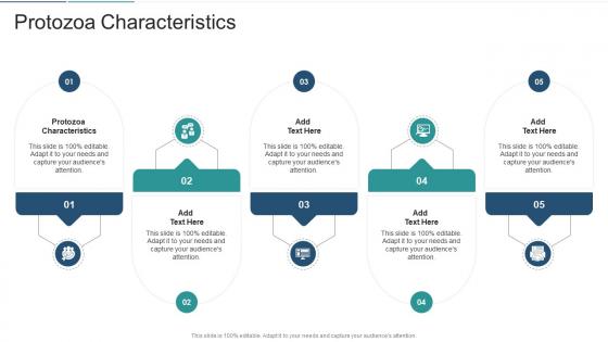 Protozoa Characteristics In Powerpoint And Google Slides Cpb