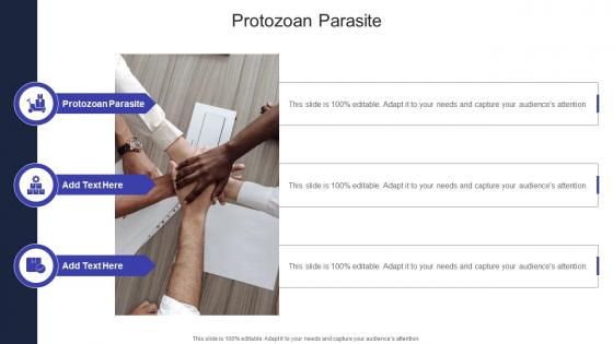 Protozoan Parasite In Powerpoint And Google Slides Cpb