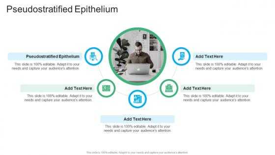 Pseudostratified Epithelium In Powerpoint And Google Slides Cpb