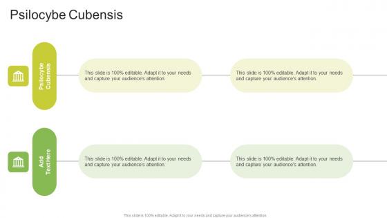 Psilocybe Cubensis In Powerpoint And Google Slides Cpb
