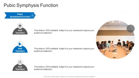 Pubic Symphysis Function In Powerpoint And Google Slides Cpb